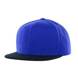 Top of the World Blank Snapback