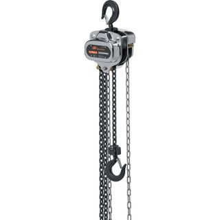 Ingersoll Rand Manual Chain Hoist   1 Ton Capacity, 10 Ft. Lift, Model SMB010 