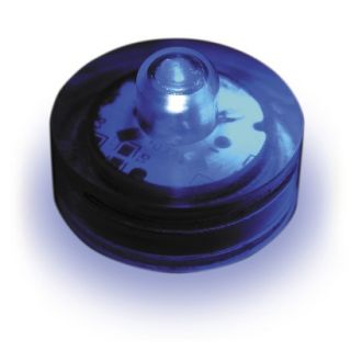 LED Lights Submersible   Blue (12 Ct)