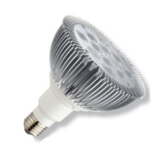 Light Efficient Design LED1690A LED Light Bulb, PAR38 Medium Base Spot, 120V, 15W (75W Equivalent) Dimmable 3000K 900 Lumens
