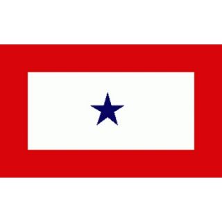 Service Flag   3x5