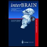 Interbrain Topographical Anatomy and 