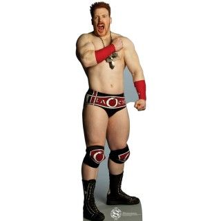 WWE Party Sheamus Stand Up