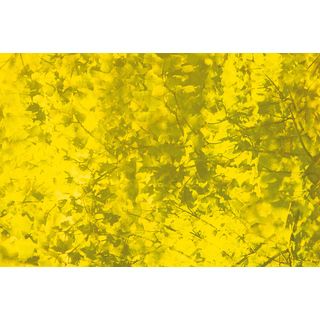 Yellow Textured Abstract Canvas Wall Art