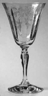 Fostoria Fuchsia Clear Water Goblet   Stem #6004, Etch    #310