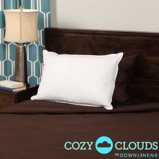 Cozyclouds By Downlinens Down/ Feather Compartment Pillow