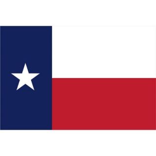Texas State Flag   3 x 5