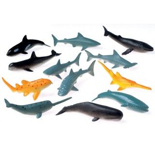 Mini Sharks and Whales