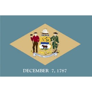 Delaware State Flag   3 x 5