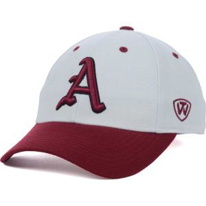 Arkansas Razorbacks Top of the World NCAA Memory Fit Dynasty Fitted Hat