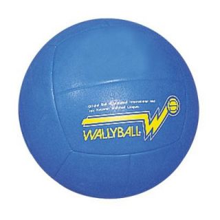 Official Wallyball Ball
