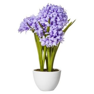 Threshold Faux Agapanthus In Glass Pot   18.5
