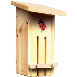 Stovall Wood Small Ladybug Habitat