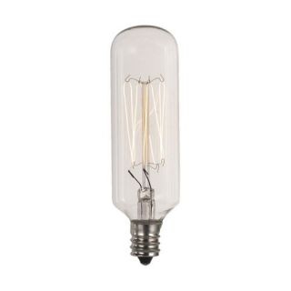 40W T8 Vintage Carbon Filament Lamp
