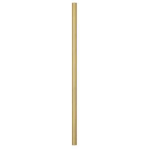 NuTone 12 in. Polished Brass Extension Downrod DR12PB