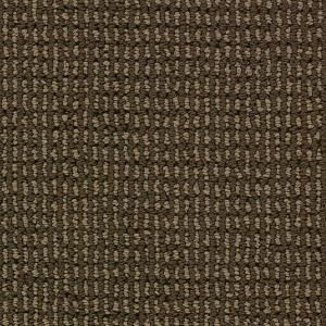 Home Decorators Collection Andover   Color Timber 15 ft. Carpet HDA180LP11