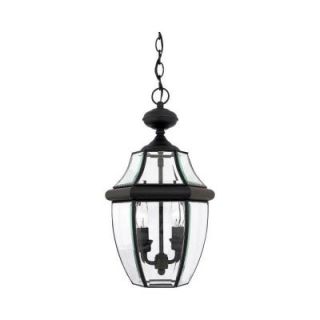 Filament Design 2 Light 19 in. Hanging Outdoor Mystic Black Clear Glass Light CLI GH8008850