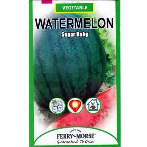 Ferry Morse 1.25 Gram Sugar Baby Watermelon Seed 1419