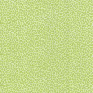 8 in. W x 10 in. H Sassy Green Cheetah Print Wallpaper Sample 443 62506SAM