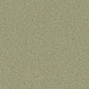 Platinum Plus Fetching II   Color SoFt Sage 12 ft. Carpet 6778 15 1200 AB
