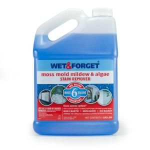 Wet & Forget 1 gal. Moss Mold Mildew and Algae Stain Remover 800006