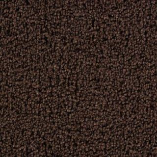 Martha Stewart Living Beechwood Burl   6 in. x 9 in. Take Home Carpet Sample DISCONTINUED 846224