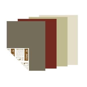 YOLO Colorhouse Farmer’s Market Palette 12 in. x 16 in. Pre Painted Big Chip Sample (4 Pack) 223332