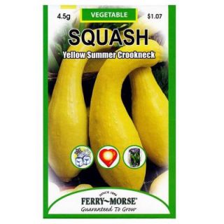 Ferry Morse Squash Yellow Summer Crookneck Seed 8130
