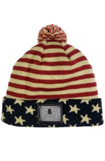 Entree LS VINTAGE FLAG Beanie