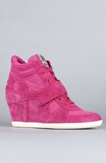 Ash Shoes The Bowie Sneaker in Fuxia Suede and Washed Canvas