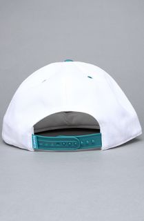 47 Brand Hats The Charlotte Hornets White Flash MVP Snapback Hat in White Teal