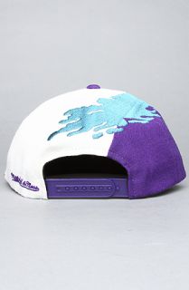 Mitchell & Ness The Charlotte Hornets Paintbrush Snapback Hat in Purple Teal