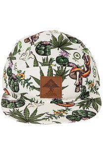 LRG Hat Plant Life in Off White