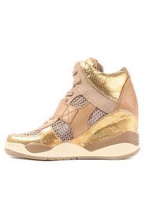 Ash Shoes Sneaker Funky Ter in Gold