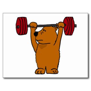XX  Funny Brown Bear Weight Lifting Postcards