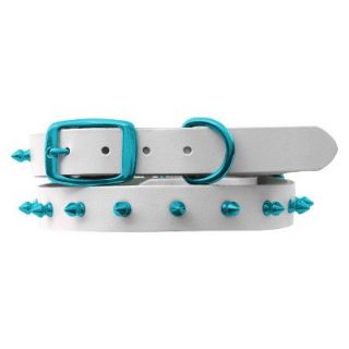 Platinum Pets White Genuine Leather Dog Collar with Spikes   Teal (11   15)