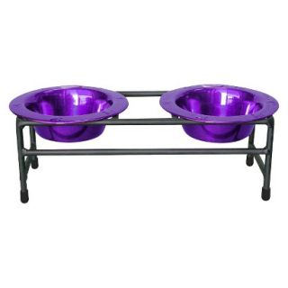 Platinum Pets Modern Double Dog Feeder with Two Stainless Steel Wide Rimmed