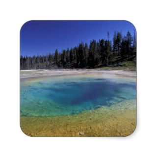 NA, USA, Wyoming, Yellowstone National Park. 2 Square Sticker