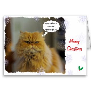 Persian Cat Christmas Card