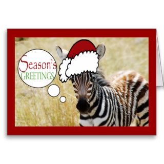 Funny zebra Christmas greeting Greeting Card
