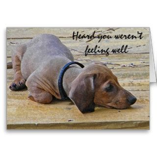 AY  Funny Dachsund Puppy Dog Get Well Card