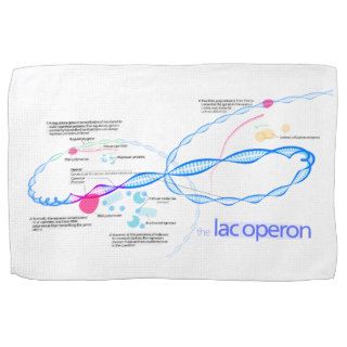The Lac Operon Diagram Hand Towels