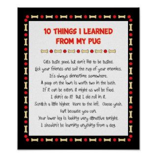 Funny Things I Learned My Pug Poster
