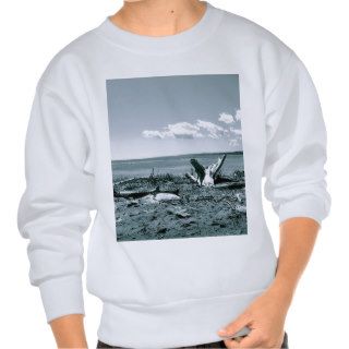 Empty space serie pullover sweatshirts