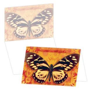 ECOeverywhere Butterfly Number 2 Boxed Card Set, 12 Cards and Envelopes, 4 x 6 Inches, Multicolored (bc70012)  Blank Postcards 