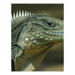 Lizard Face Full Color Flyer