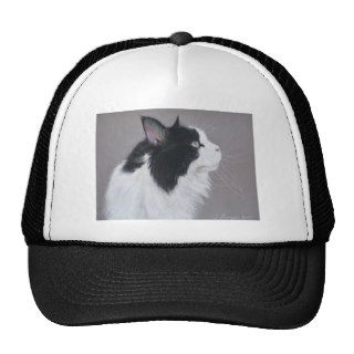 Black and White Maine Coon cat. Hats