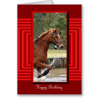 Happy Birthday Horse Birthday mare stallion foal Cards
