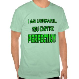 You can't fix perfection. t shirts