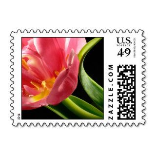 Tulip Postage Stamp